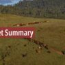 Elders Insights – Weekly Market Summary