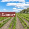 Elders Insights – Weekly Market Summary