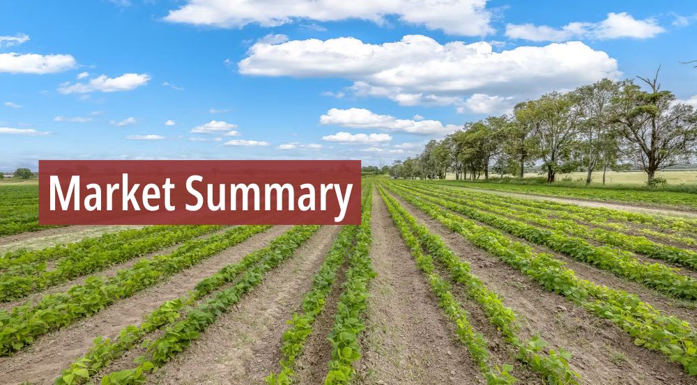 Elders Insights – Weekly Market Summary