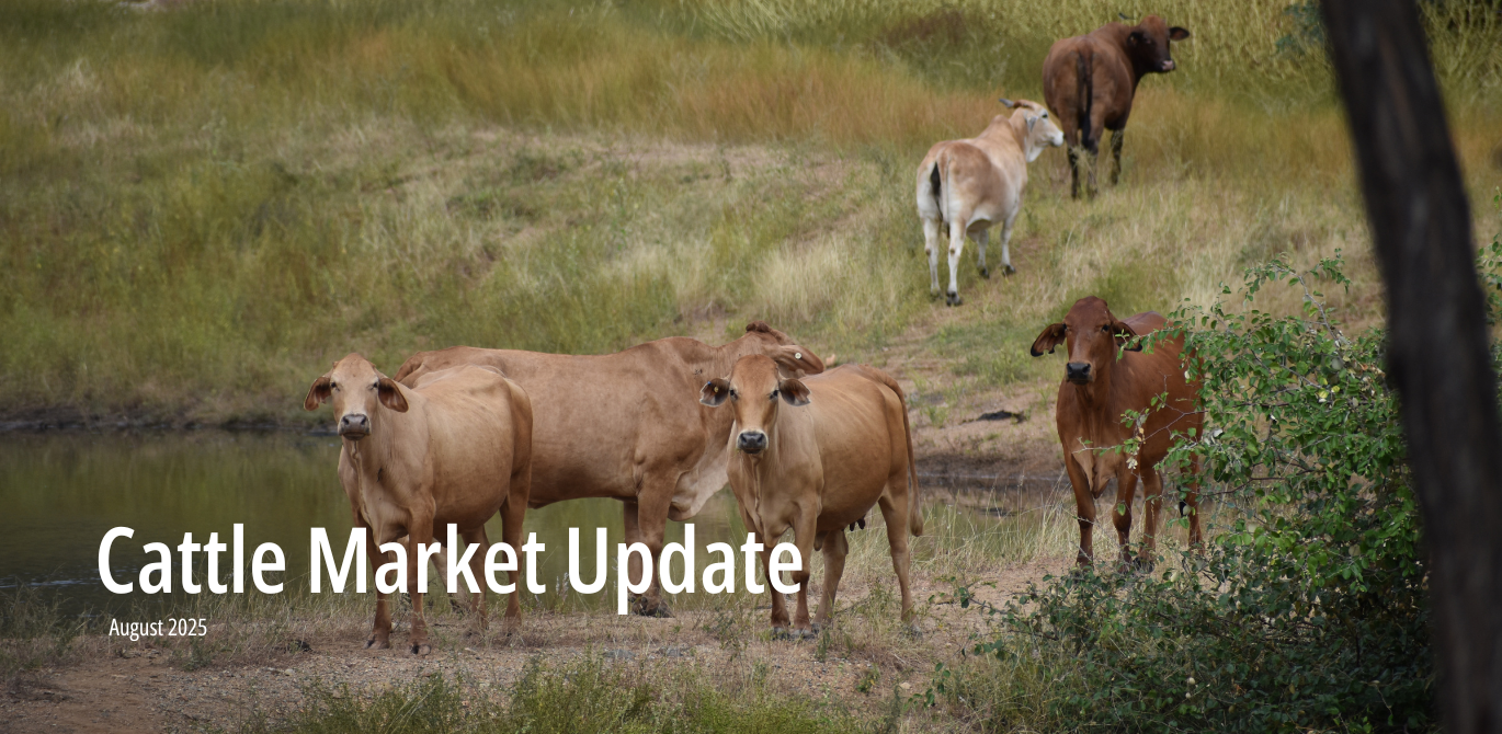 Why livestock performance drives property value
