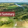 Weekly Market Insights: 1 September 2025