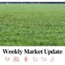 Weekly Market Insights: 7 October 2025