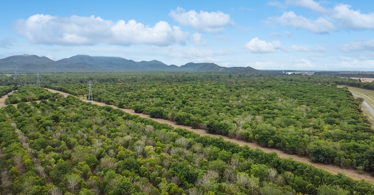 Burdekin Irrigation Aggregation Secured by New Owners in Significant Rural Sale