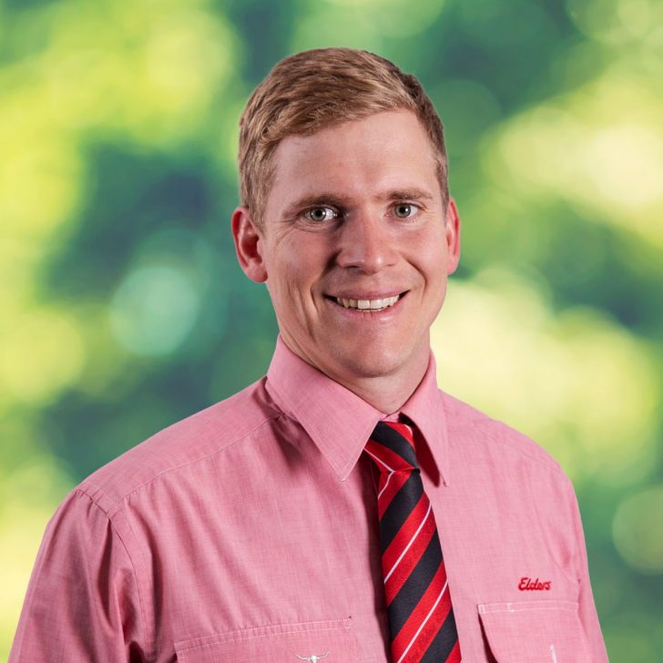 Elders QLD Rural Real Estate Your Local Real Estate Experts