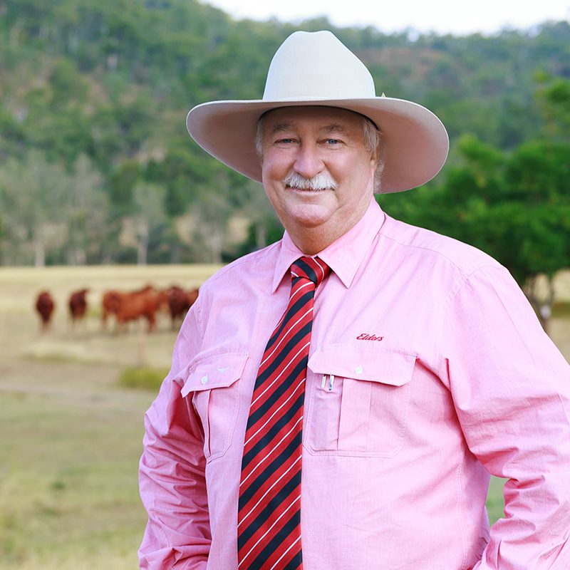 Team Members Elders QLD Rural Real Estate